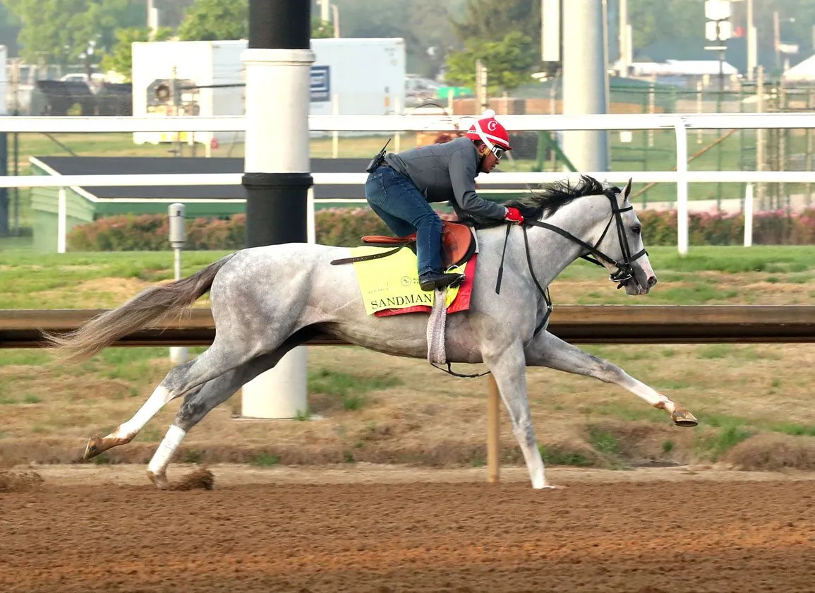 Berikut terjemahan judul tersebut ke dalam Bahasa Indonesia:

**Sandman Pilih John Velazquez untuk Preakness, Clever Again Kembali Latihan Setengah Mudah di Churchill**